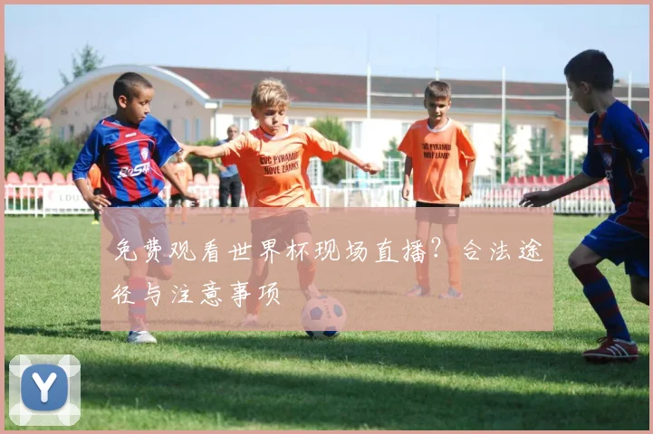 免费观看世界杯现场直播?合法途径与注意事项