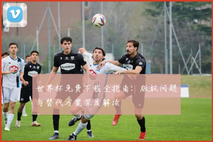 世界杯免费下载全指南：版权问题与替代方案深度解读