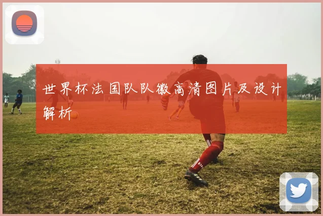 世界杯法国队队徽高清图片及设计解析