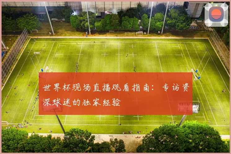 世界杯现场直播观看指南：专访资深球迷的独家经验
