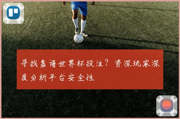 寻找靠谱世界杯投注?资深玩家深度分析平台安全性